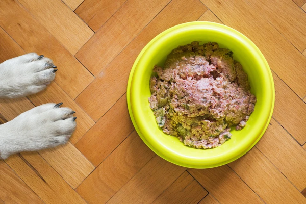 types of dog food